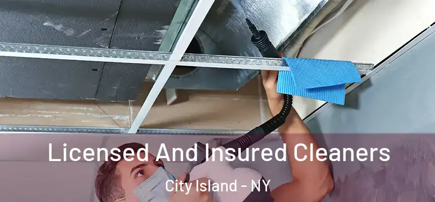 Licensed And Insured Cleaners City Island - NY