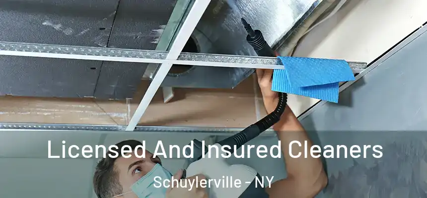  Licensed And Insured Cleaners Schuylerville - NY