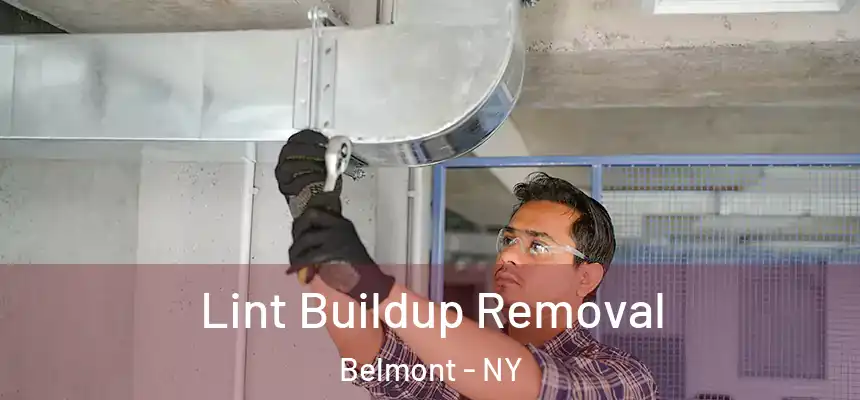 Lint Buildup Removal Belmont - NY