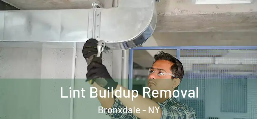 Lint Buildup Removal Bronxdale - NY