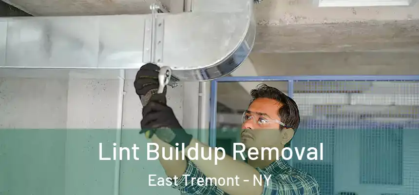  Lint Buildup Removal East Tremont - NY