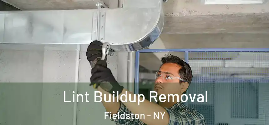  Lint Buildup Removal Fieldston - NY