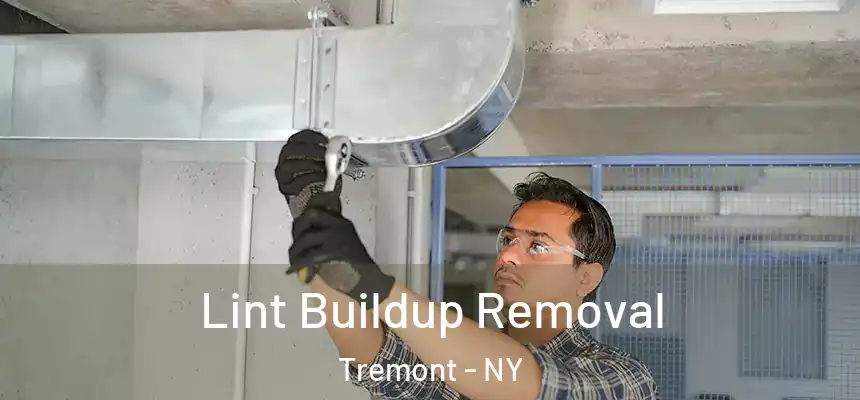 Lint Buildup Removal Tremont - NY