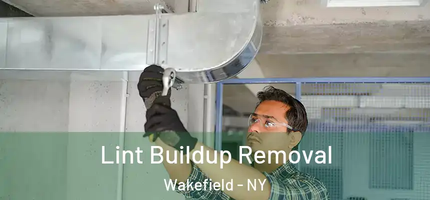Lint Buildup Removal Wakefield - NY