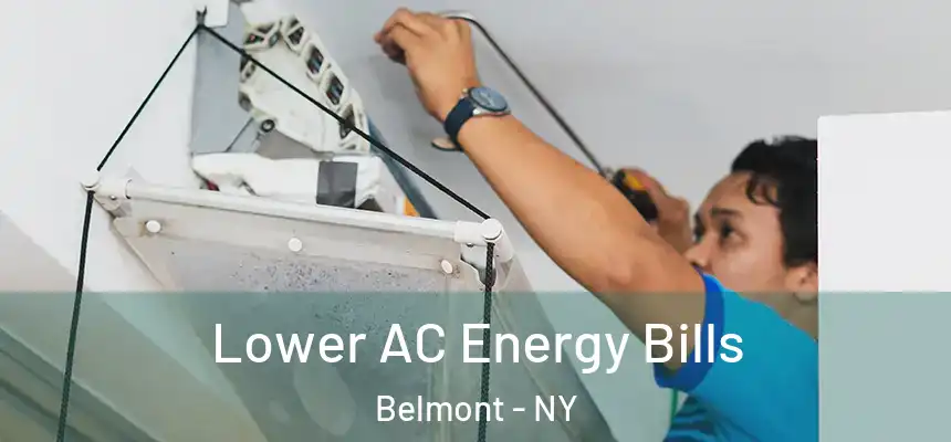  Lower AC Energy Bills Belmont - NY