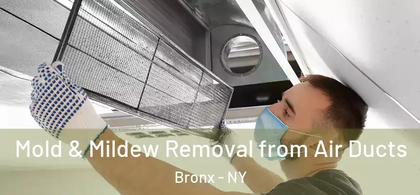 Mold & Mildew Removal from Air Ducts Bronx - NY