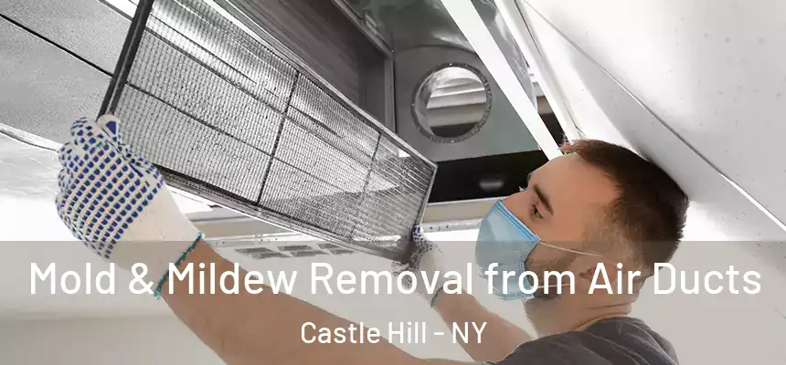 Mold & Mildew Removal from Air Ducts Castle Hill - NY