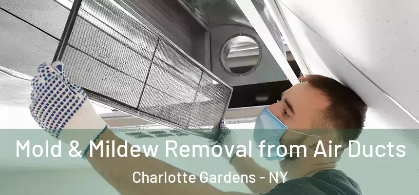 Mold & Mildew Removal from Air Ducts Charlotte Gardens - NY
