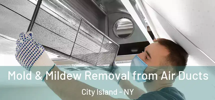 Mold & Mildew Removal from Air Ducts City Island - NY