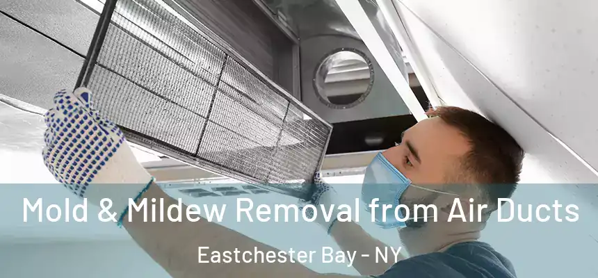 Mold & Mildew Removal from Air Ducts Eastchester Bay - NY