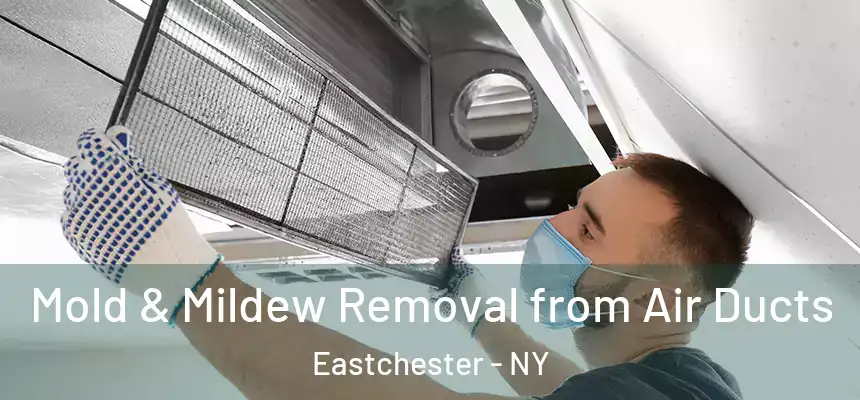 Mold & Mildew Removal from Air Ducts Eastchester - NY