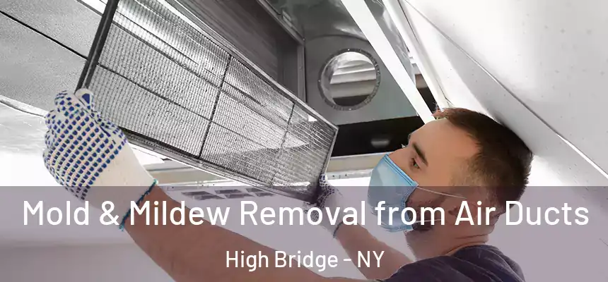 Mold & Mildew Removal from Air Ducts High Bridge - NY