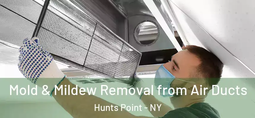 Mold & Mildew Removal from Air Ducts Hunts Point - NY