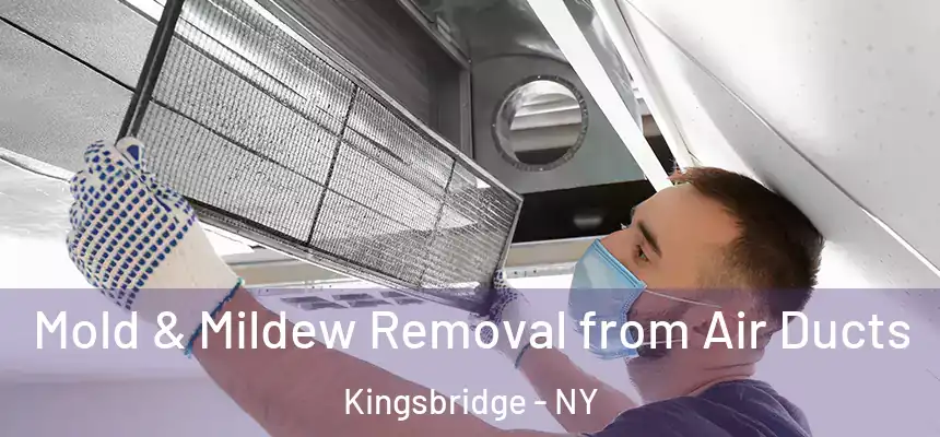  Mold & Mildew Removal from Air Ducts Kingsbridge - NY