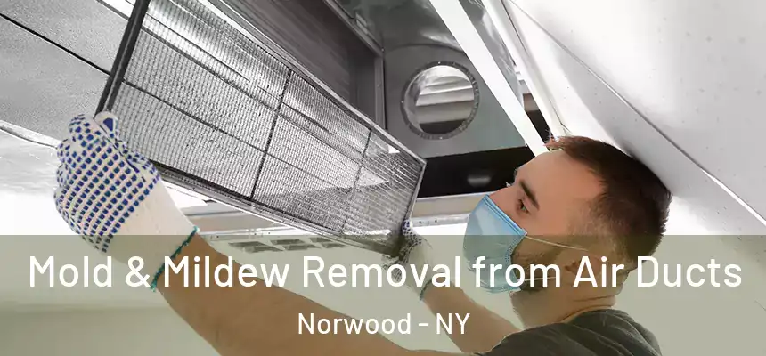 Mold & Mildew Removal from Air Ducts Norwood - NY