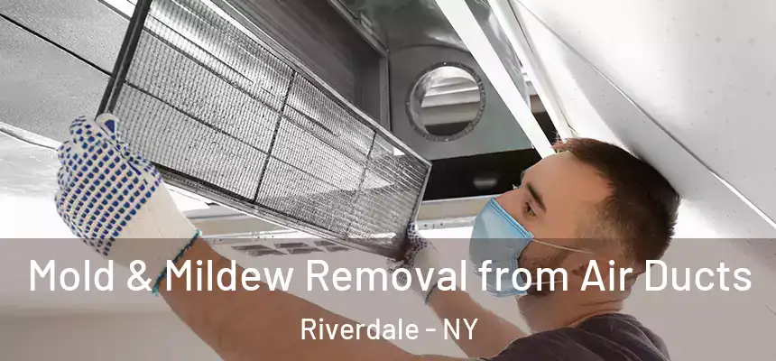  Mold & Mildew Removal from Air Ducts Riverdale - NY
