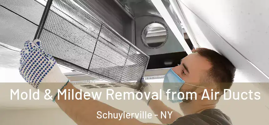 Mold & Mildew Removal from Air Ducts Schuylerville - NY