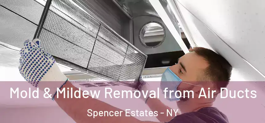 Mold & Mildew Removal from Air Ducts Spencer Estates - NY