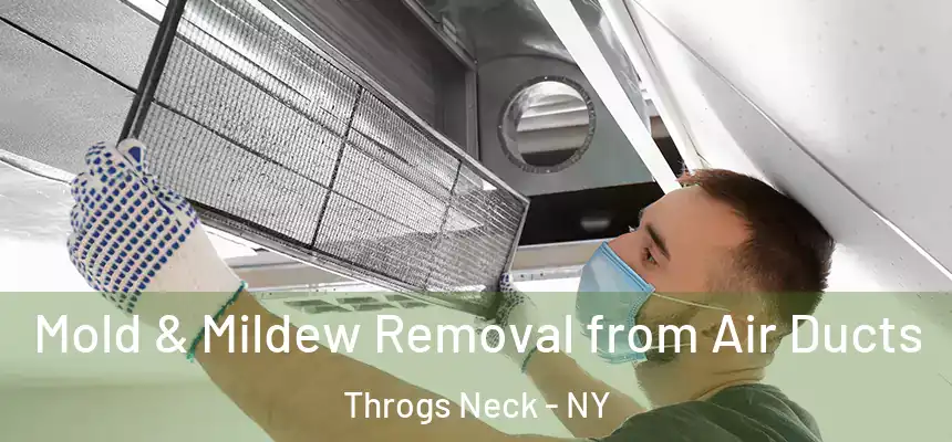 Mold & Mildew Removal from Air Ducts Throgs Neck - NY