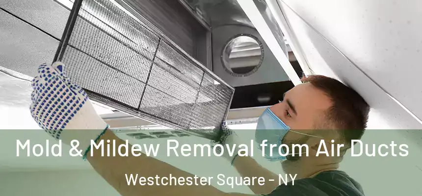Mold & Mildew Removal from Air Ducts Westchester Square - NY
