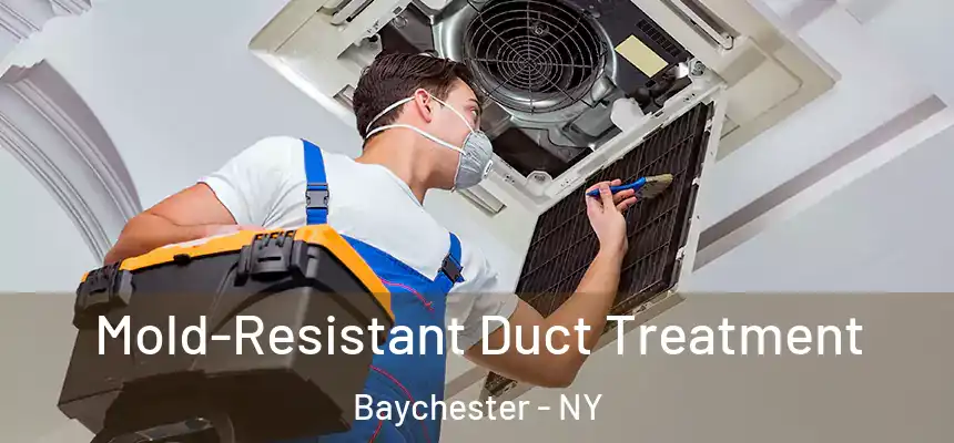  Mold-Resistant Duct Treatment Baychester - NY