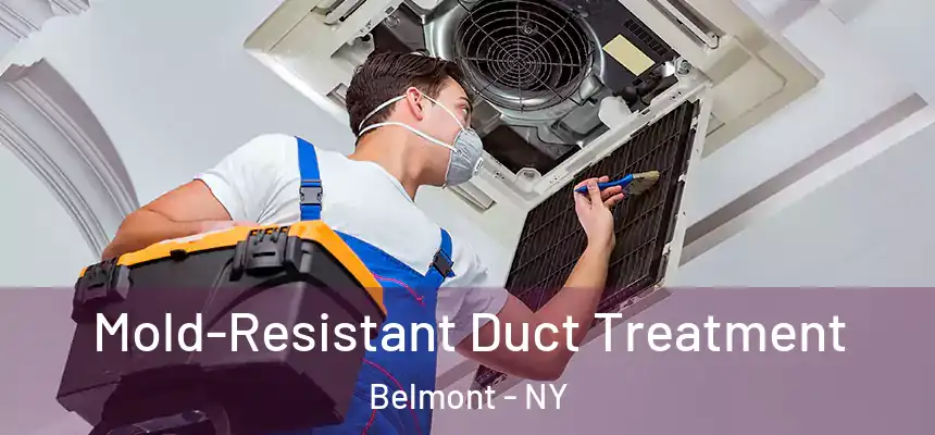 Mold-Resistant Duct Treatment Belmont - NY