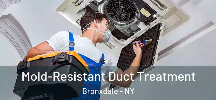  Mold-Resistant Duct Treatment Bronxdale - NY