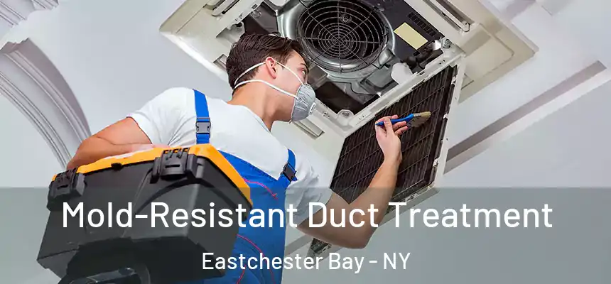  Mold-Resistant Duct Treatment Eastchester Bay - NY