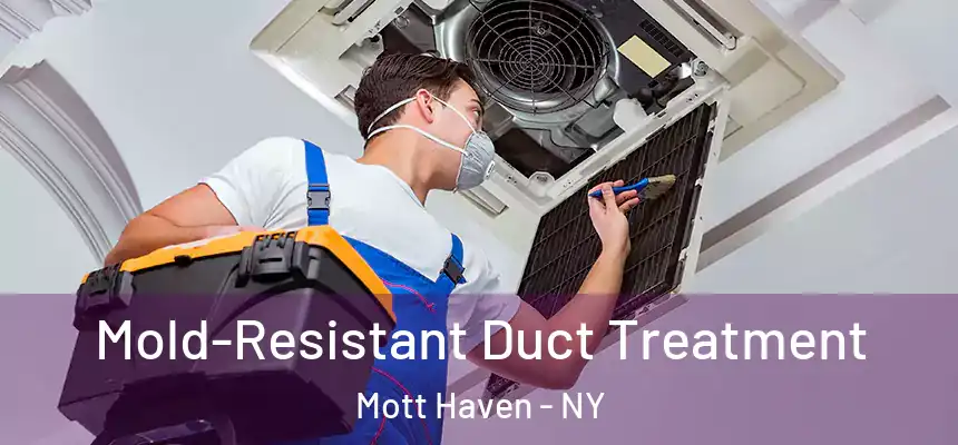 Mold-Resistant Duct Treatment Mott Haven - NY