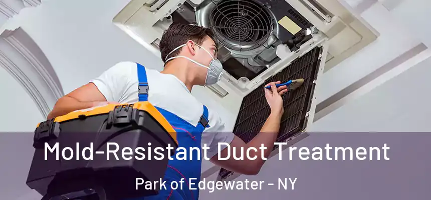 Mold-Resistant Duct Treatment Park of Edgewater - NY
