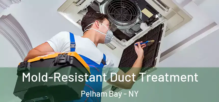  Mold-Resistant Duct Treatment Pelham Bay - NY
