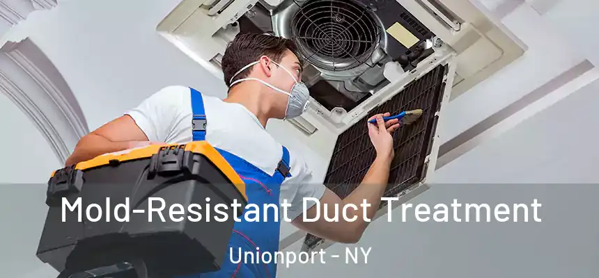 Mold-Resistant Duct Treatment Unionport - NY