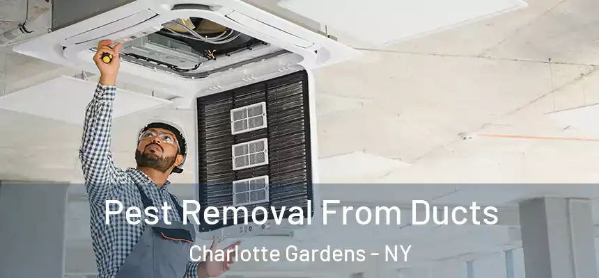 Pest Removal From Ducts Charlotte Gardens - NY