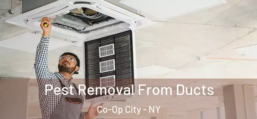 Pest Removal From Ducts Co-Op City - NY