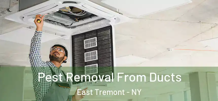 Pest Removal From Ducts East Tremont - NY