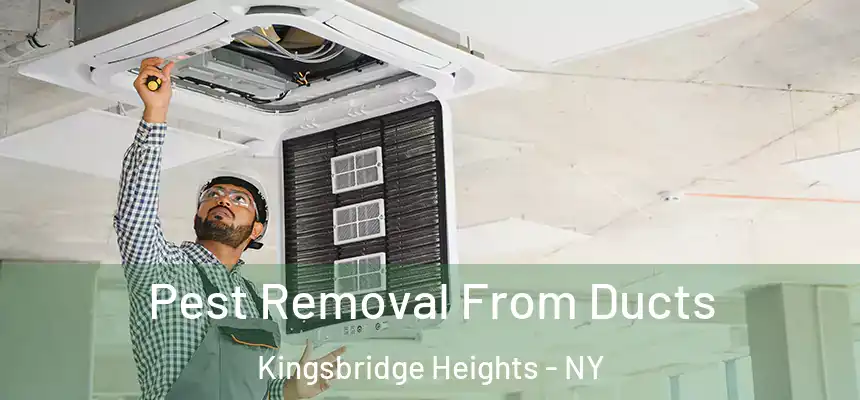 Pest Removal From Ducts Kingsbridge Heights - NY