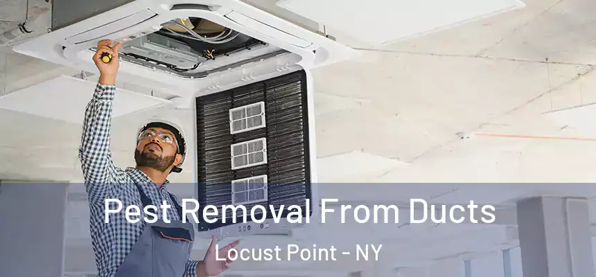 Pest Removal From Ducts Locust Point - NY