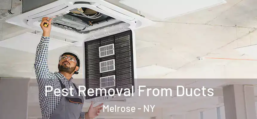  Pest Removal From Ducts Melrose - NY