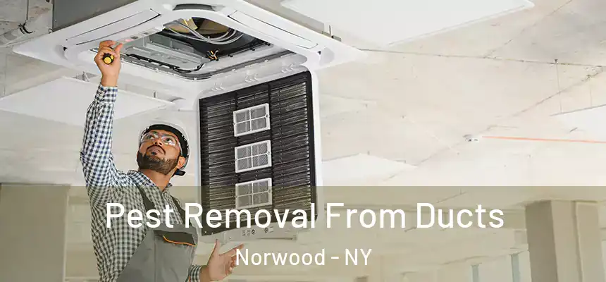  Pest Removal From Ducts Norwood - NY