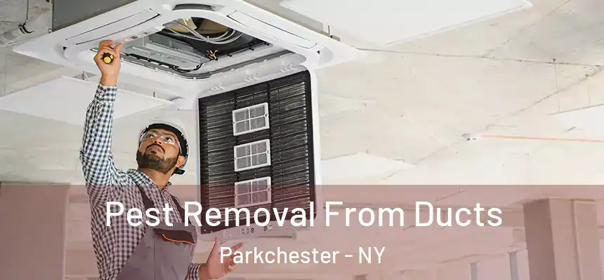 Pest Removal From Ducts Parkchester - NY