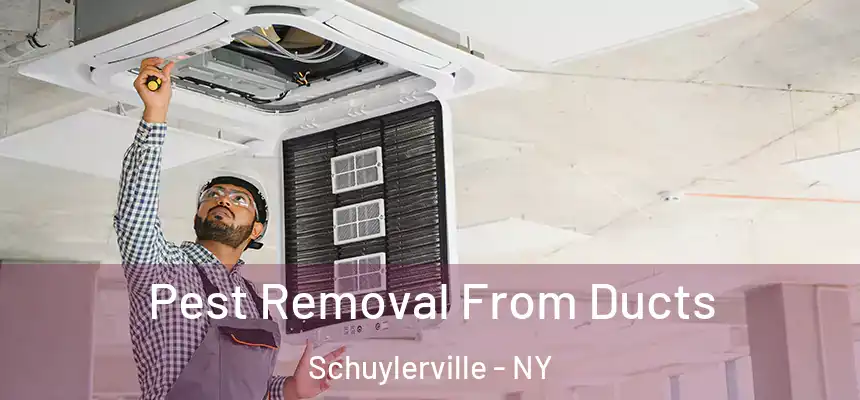  Pest Removal From Ducts Schuylerville - NY