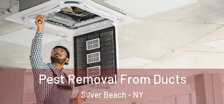 Pest Removal From Ducts Silver Beach - NY