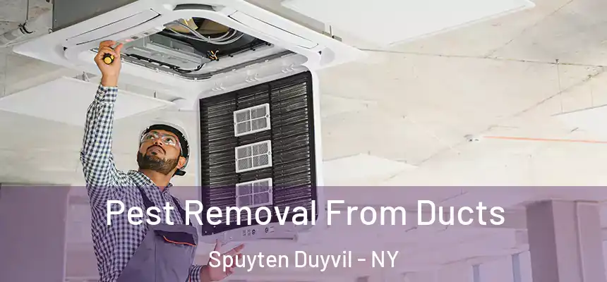 Pest Removal From Ducts Spuyten Duyvil - NY