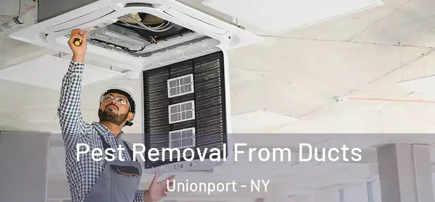  Pest Removal From Ducts Unionport - NY