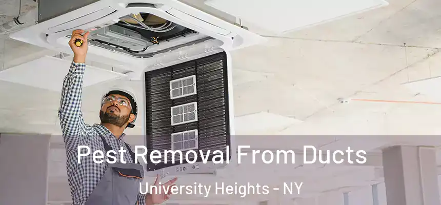 Pest Removal From Ducts University Heights - NY