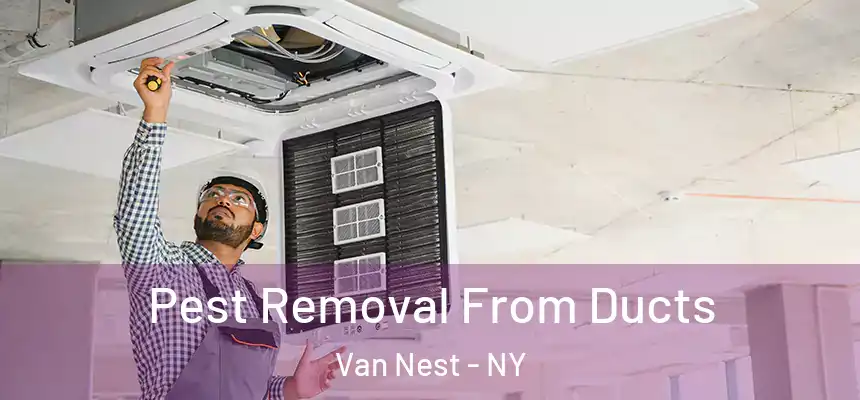 Pest Removal From Ducts Van Nest - NY