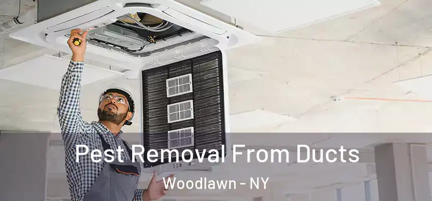 Pest Removal From Ducts Woodlawn - NY