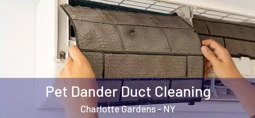Pet Dander Duct Cleaning Charlotte Gardens - NY