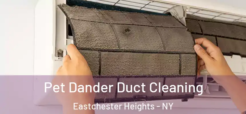 Pet Dander Duct Cleaning Eastchester Heights - NY