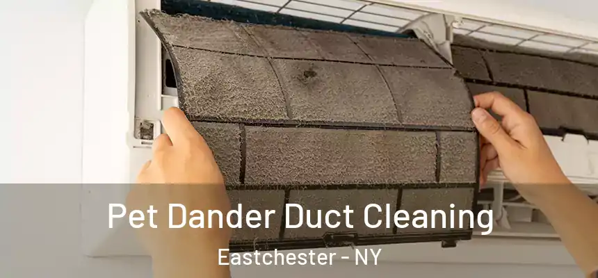  Pet Dander Duct Cleaning Eastchester - NY
